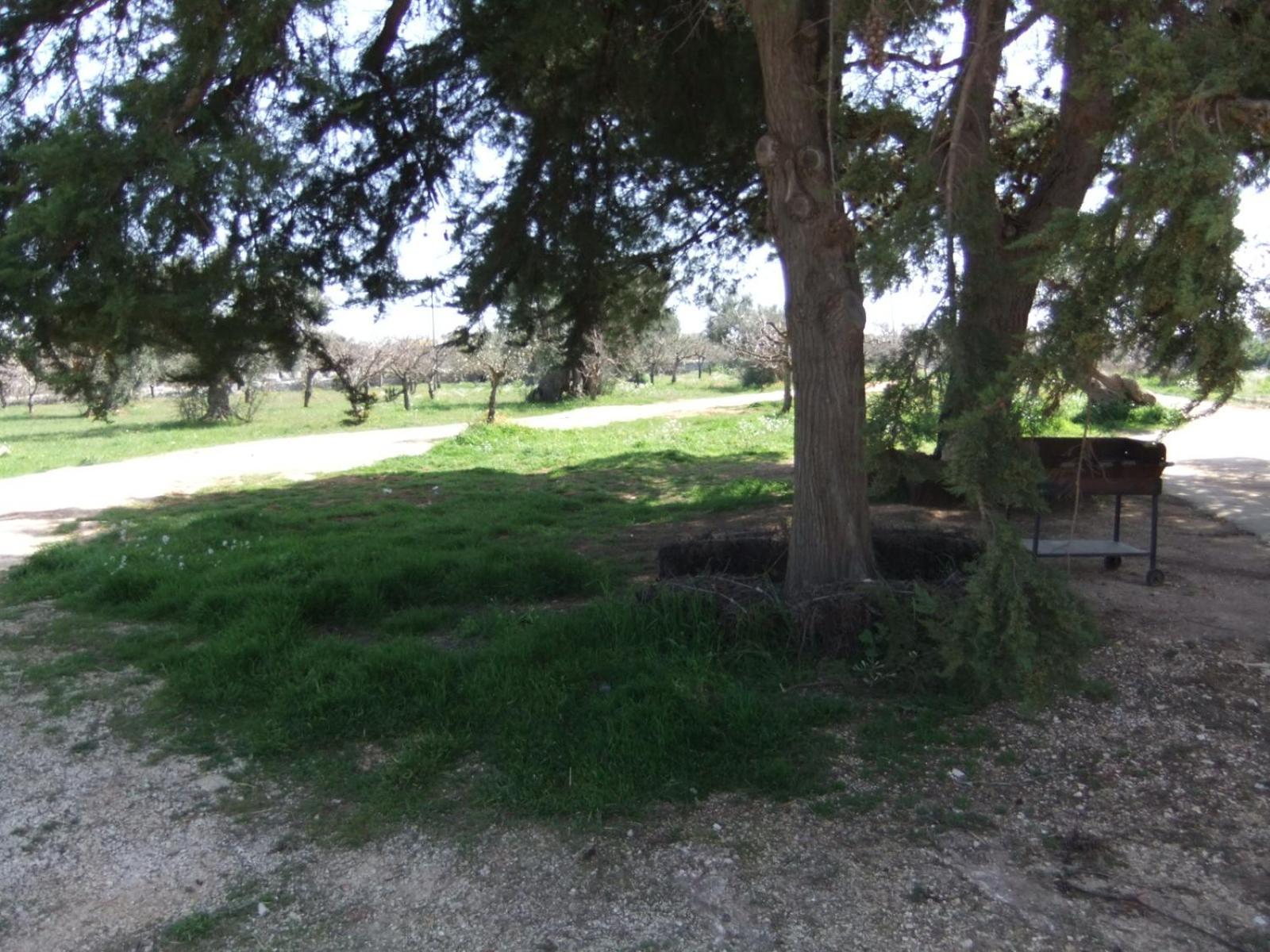 Masseria La Luna Nel Pozzo Castellana Grotte Exterior foto