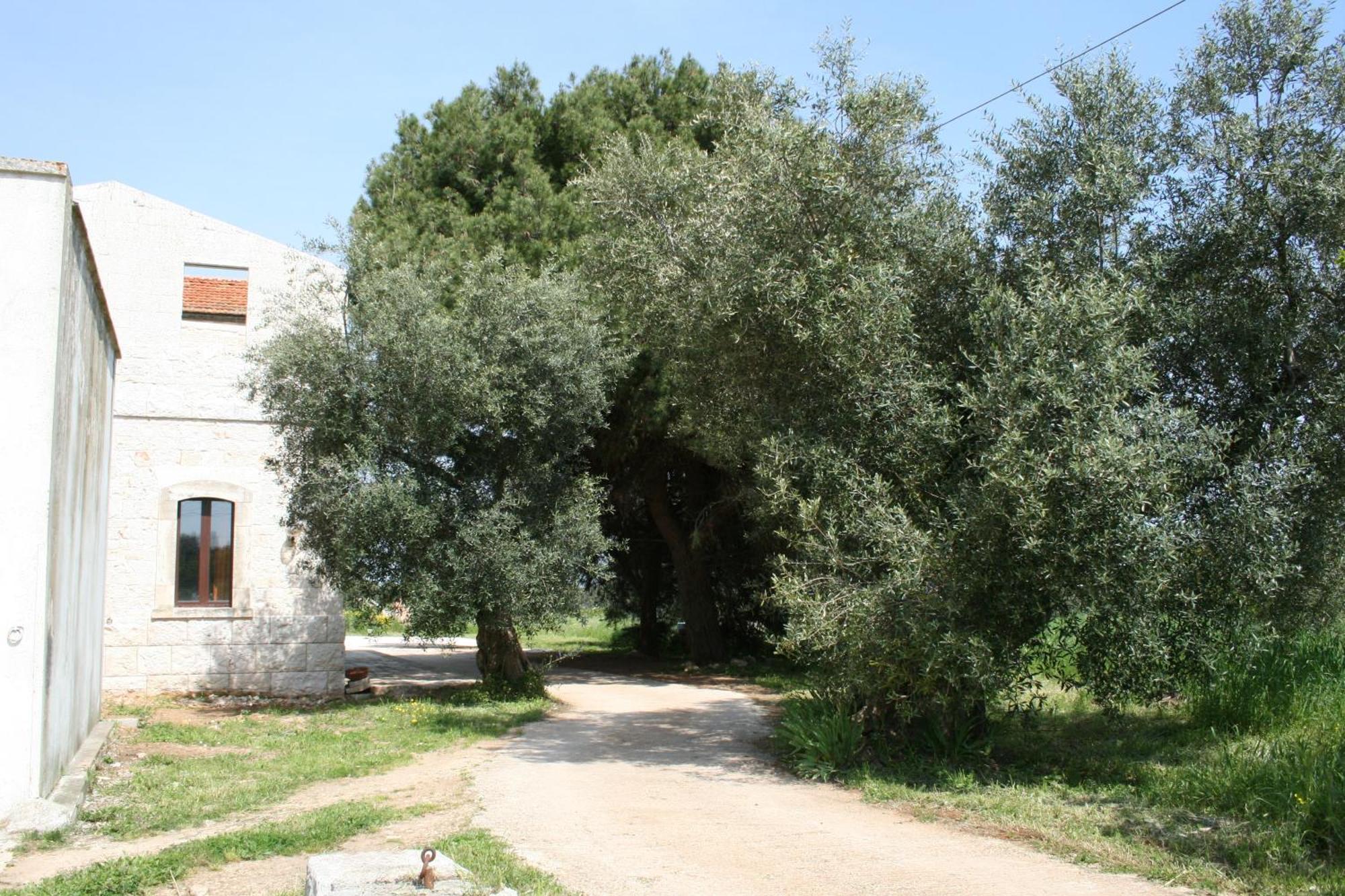 Masseria La Luna Nel Pozzo Castellana Grotte Exterior foto